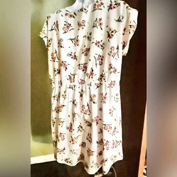 🆕 New Glory Print Cinched-Waist Dress Size 2X - Picture 3 of 6